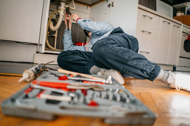 Best Plumbing Inspection Services  in Eielson Af, AK